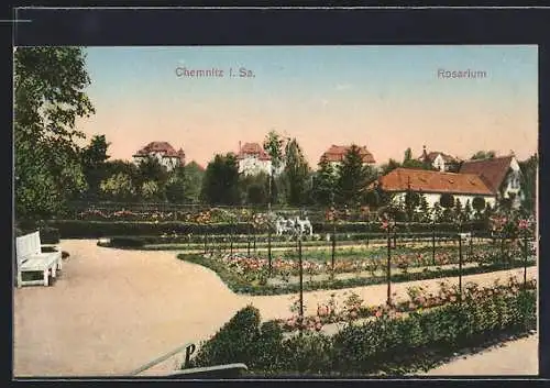 AK Chemnitz i. Sa., Rosarium