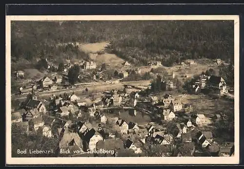 AK Bad Liebenzell, Blick vom Schlossberg auf den Ort