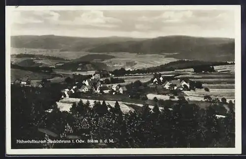 AK Siedelsbrunn i. Odw., Panorama mit Kirche