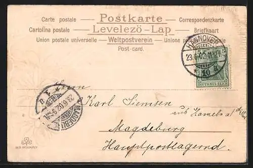 Lithographie Hannover, Königstrasse und Kriegerdenkmal, Blumen, Ornamente