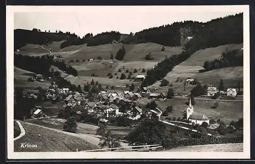 AK Krinau, Totalansicht aus der Vogelschau