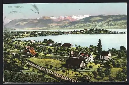 AK Rapperswil, Gesamtansicht aus der Vogelschau