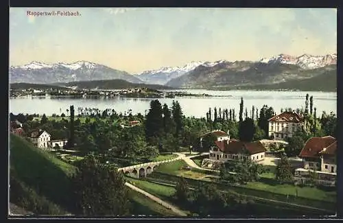 AK Rapperswil, Ortsansicht mit Blick auf Feldbach