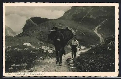 AK Wasserauen, Meglisalp, Maultier mit Gepäck