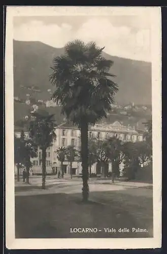 AK Locarno, Viale delle Palme