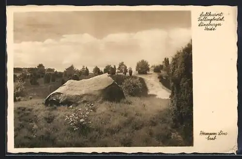 AK Fallingbostel /Lüneburger Heide, Hermann Löns Grab