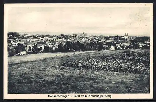 AK Donaueschingen, Ortsansicht vom Bräunlinger Steig aus