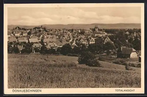 AK Donaueschingen, Ortsansicht im Sommer