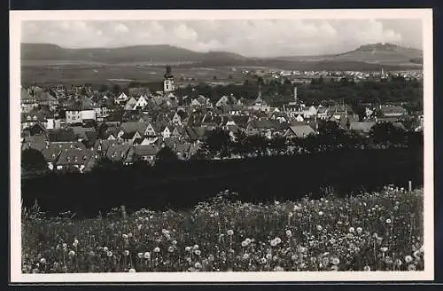 AK Donaueschingen, der Ort in der Frühlingssonne