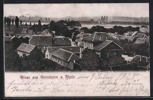 AK Gernsheim a. Rhein, Blick über den Ort zum Rhein