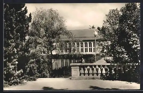 AK Brambach /Vogtl., Radiumbad, Blick vom Kurpark zur Festhalle