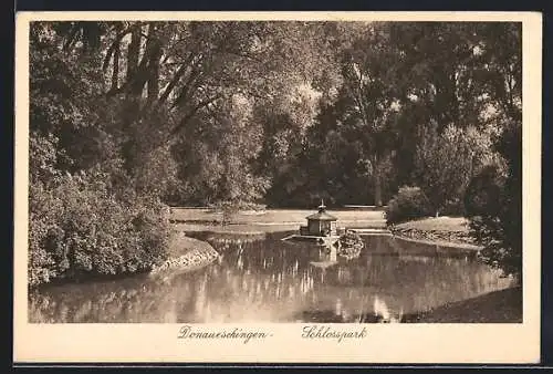 AK Donaueschingen, Teich im Schlosspark