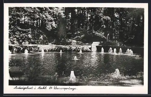 AK Ludwigslust i. Meckl., 24. Wassersprünge