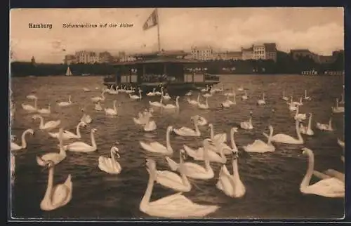 AK Hamburg-Uhlenhorst, Schwanenhaus auf der Alster