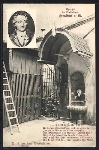 AK Alt-Frankfurt, Brunnen im Goethehaus, Portrait des Dichterfürsten