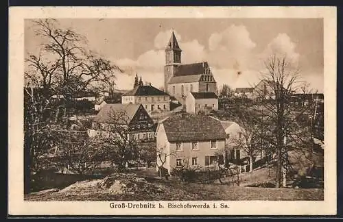 AK Gross-Drebnitz / Sa., Ortsansicht