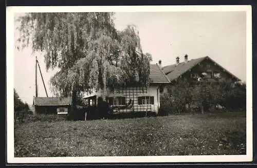 Foto-AK Prien, Wohnhäuser von einer Weide aus in 1960