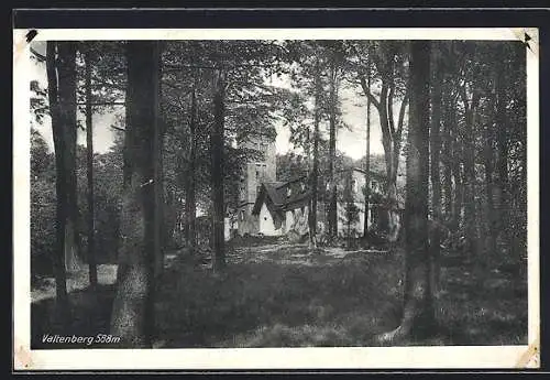 AK Valtenberg, Ansicht durch den Wald hindurch