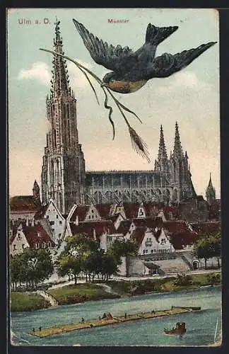 AK Ulm a. D., Münster mit einer Rauchschwalbe