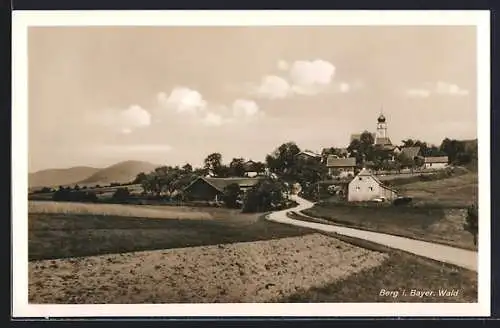 AK Berg i. Bayer. Wald, Blick von einer Landstrasse auf das Dorf