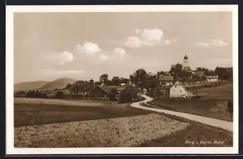 AK Berg i. Bayer. Wald, Blick von einer Landstrasse auf das Dorf