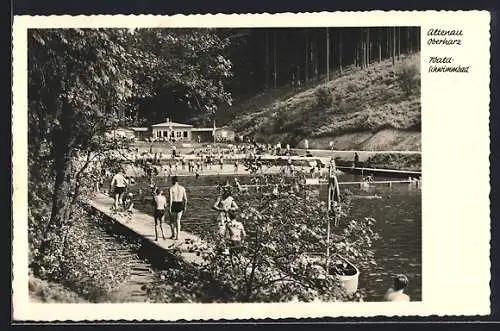 AK Altenau /Oberharz, Wald-Schwimmbad