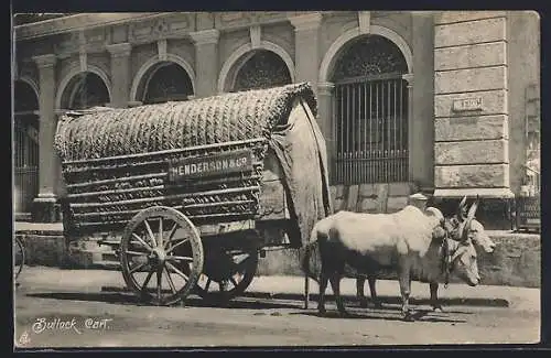 AK Sri-Lanka-Ceylon, Bullock Cart, Ochsen-Gespann