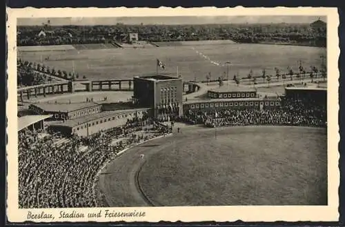 AK Breslau, Stadion und Friesenwiese