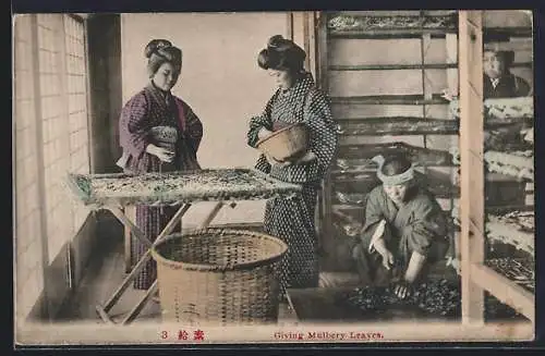 AK Japanerinnen in traditioneller Kleidung bei der Verarbeitung von Maulbeerblättern, Geisha