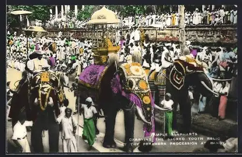 AK Kandy, Temple Elephants carrying the sacred tooth relic