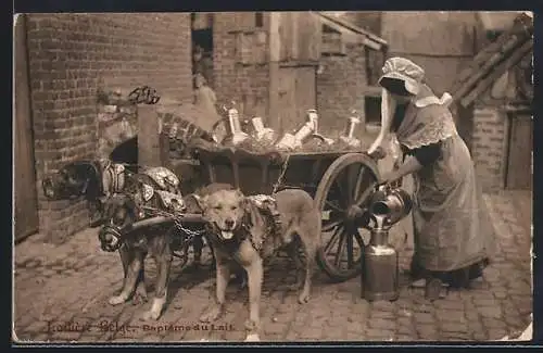 AK Drei Hunde vor einem Wagen mit Milchkannen