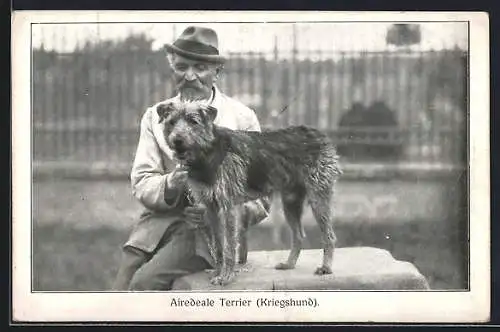 AK Ein Airedeale Terrier mit seinem Halter