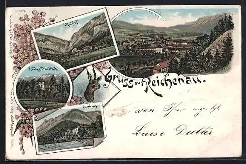 Lithographie Reichenau, Schloss Wartholz, Curhaus, Thalhof