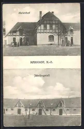 AK Lassee /N.-Ö., Meierhof Markhof und Jährlingstall