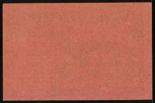 Notgeld Steinerkirchen am Innbach 1920, 20 Heller, Stadtansicht und Textausschnitt
