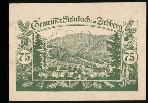 Notgeld Steinbach am Ziehberg 1920, 75 Heller, Dorflandschaft mit Bergen und Bäumen