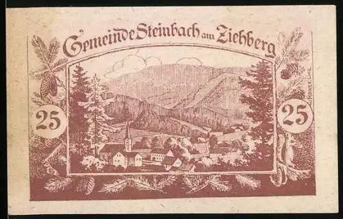 Notgeld Steinbach am Ziehberg 1920, 25 Heller, Landschaft mit Dorf und Bergen im Hintergrund