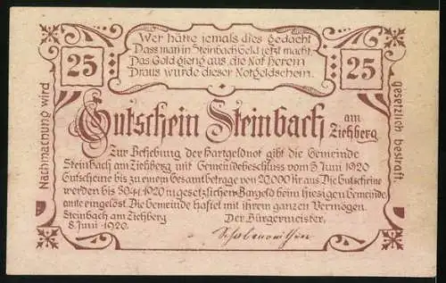 Notgeld Steinbach am Ziehberg 1920, 25 Heller, Landschaft mit Dorf und Bergen im Hintergrund