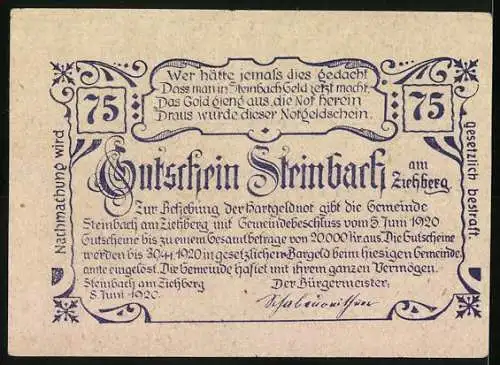 Notgeld Steinbach am Ziehberg 1920, 75 Heller, Dorflandschaft und Tannenmotive