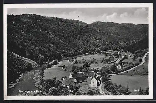 AK Altenburg /N.-Oe., Steinegg am Kamp, Ortspartie mit Strasse