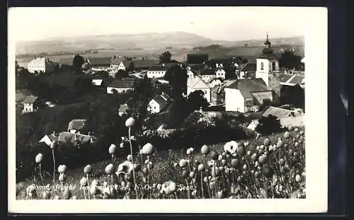 AK Hochneukirchen /N.-Oe., Teilansicht mit Kirche