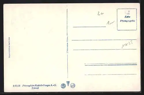 AK Wädenswil, Ansicht v. d. Schlossterrasse aus