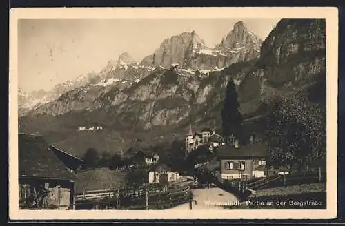 AK Wallenstadt, Partie an der Bergstrasse