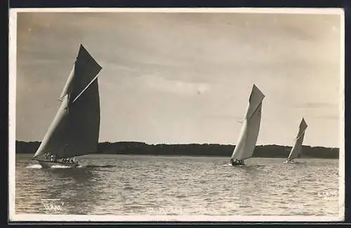 AK Die Segelboote Ierne, Rollo und Cintra