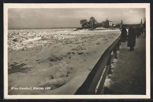 AK Wien-Nussdorf, Eisstoss 1929, Schaulustige