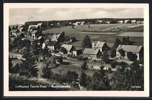 AK Tanne /Harz, Teilansicht mit Bodetalstrassse