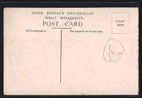 AK Hindoo Coolies, Ochsen-Gespann