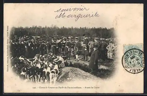 AK Fontainebleau, Chasse à Courre, Avant la Curée