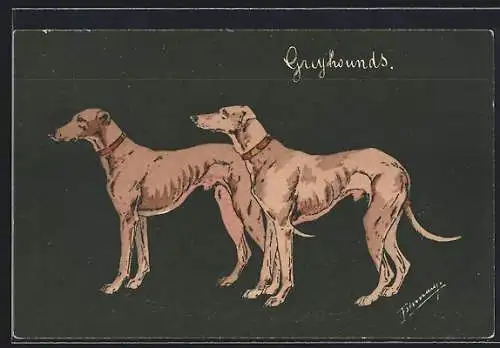 AK Zwei Greyhounds mit Halsbändern, Portrait