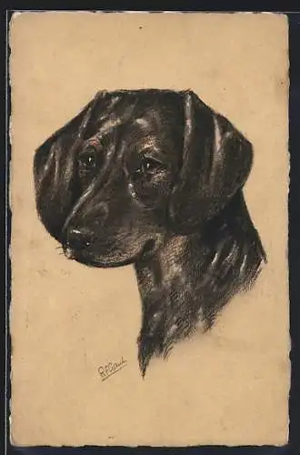 AK Jagdhund mit hängenden Ohren, Portrait